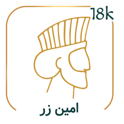 امین زر